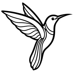 humming bird line art vector illustration