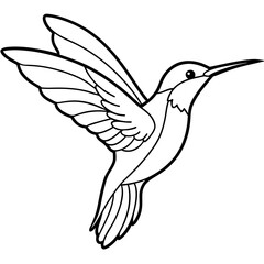humming bird line art vector illustration