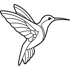 humming bird line art vector illustration