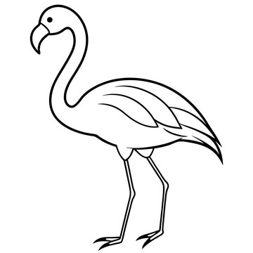 recommend clip art: flamingo line art vector illustration 