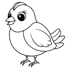 single baby sparrow  line art vector