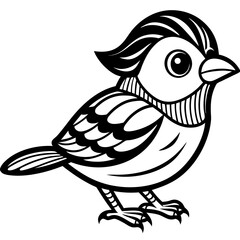 single baby sparrow  line art vector