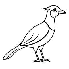 one bird line art vector illustration