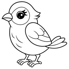 single baby sparrow  line art vector