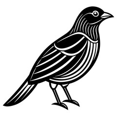one bird line art vector illustration
