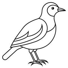 one bird line art vector illustration