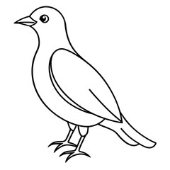 one bird line art vector illustration