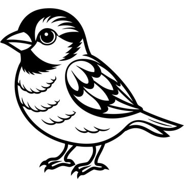 recommend clip art: single baby sparrow  line art vector