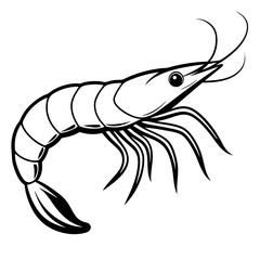 Shrimp line art sea animal. Vector sketch illustration.