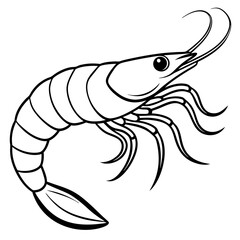 Shrimp line art sea animal. Vector sketch illustration.