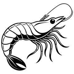Fototapeta premium Shrimp line art sea animal. Vector sketch illustration.