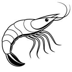 Shrimp line art sea animal. Vector sketch illustration.
