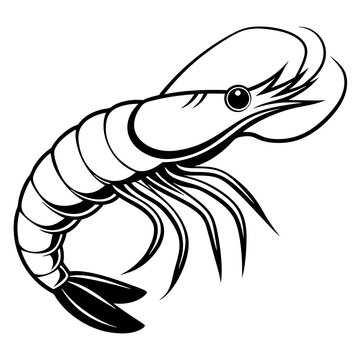 recommend clip art: Shrimp line art sea animal. Vector sketch illustration.