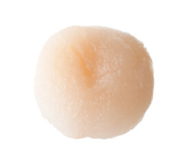 One fresh raw scallop isolated on white