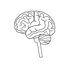 Brain Icon
