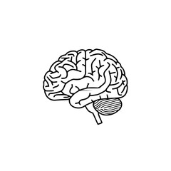 Brain Icon
