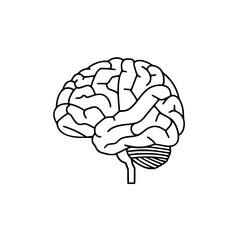 Brain SVG, Human Brain Svg,