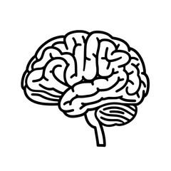 Brain SVG, Human Brain Svg,