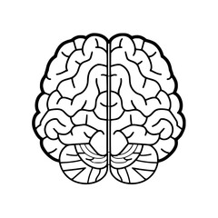Brain SVG, Human Brain Svg,