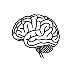 Brain SVG, Human Brain Svg,