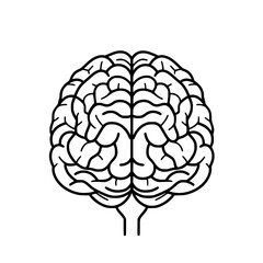 Brain SVG, Human Brain Svg,