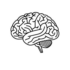 Brain SVG, Human Brain Svg,