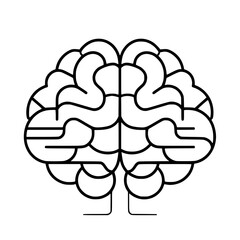 Brain SVG, Human Brain Svg, Brain Clipart, Mind Svg, 