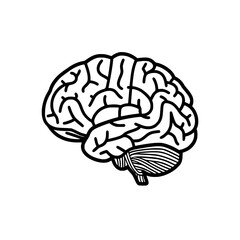 Brain SVG, Human Brain Svg, Brain Clipart, Mind Svg, 