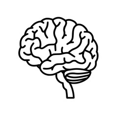 Brain SVG, Human Brain Svg, Brain Clipart, Mind Svg, 
