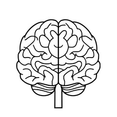 Brain SVG, Human Brain Svg, Brain Clipart, Mind Svg, Brain vector,