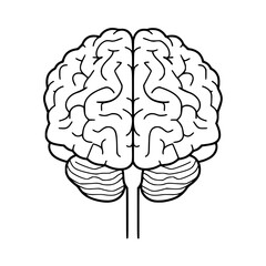 Brain SVG, Human Brain Svg, Brain Clipart, Mind Svg, Brain vector,