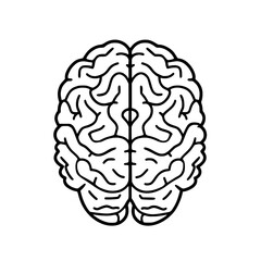 Brain SVG, Human Brain Svg, Brain Clipart,