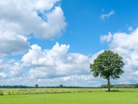 Landschap Salland, Lettele, Overijssel province, The Netherlands