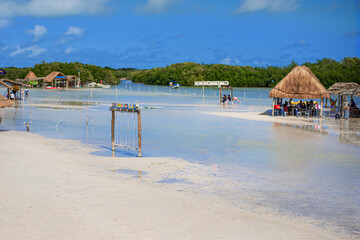 thatched canopies over the shallow sandy waters of the bay of chuburna mangrove