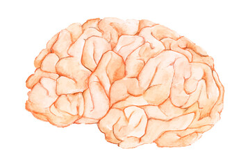 Hand drawn pink brain sticker design element