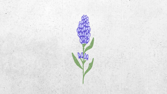 Flower Element 03