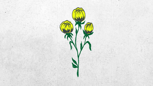 Flower Element 06