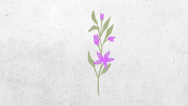 Flower Element 07