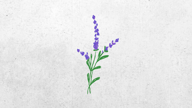 Flower Element 08