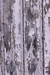 arrière plan texturé constitué de vieilles planches de bois, recouvertes de peinture verte écaillée. Gros plan sur des portes, volets ou palissade