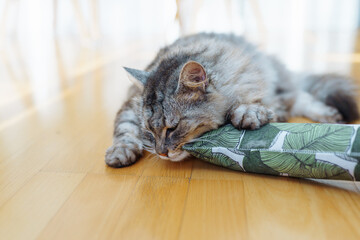 fabric pillow roll filled with catnip for play and interest of cats