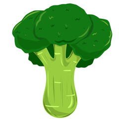 broccoli isolated on white, Vector art illustration of Fresh green broccoli