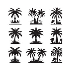 Black palm trees set isolated on white background. Palm silhouettes. Design of palm trees for posters, banners and promotional items. Vector illustration