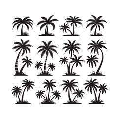 Black palm trees set isolated on white background. Palm silhouettes. Design of palm trees for posters, banners and promotional items. Vector illustration