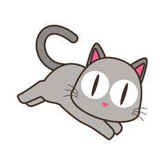 cat 13