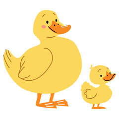 Flat vector illustration in children's style on white background. Cute duck with duckling . Vector illustration