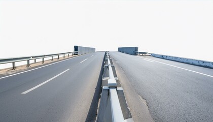 Fototapeta premium crocuses in the mountains