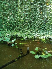 Greenhouse Ambience IMG_20231029_130523 🌿 