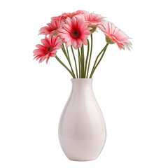 Elegant Pink Gerbera Daisies in a White Ceramic Vase on a White Background