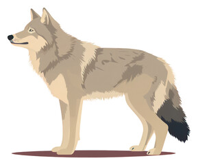 Fototapeta premium PNG Wolf animal mammal pet.